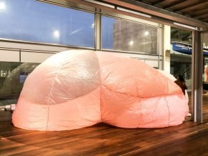 certamen plástika19 2019 003